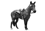Portrait de cheval dans un style noir et blanc