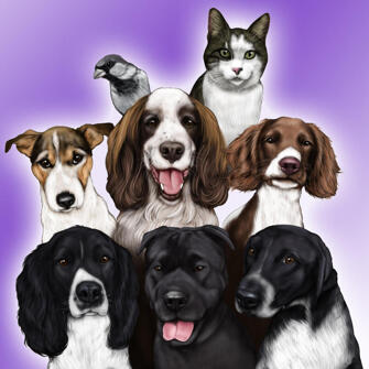 S-ar putea sa-ti placa si:-1