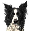 Border Collie-karikatur fra foto