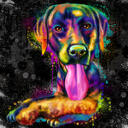 Varavīksnes suņa portrets uz melna fona