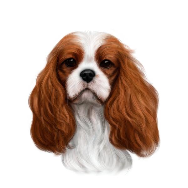 Spaniel-Karikatur