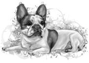 Akvarell nyanser av grå hund Helkroppsporträtt från foton