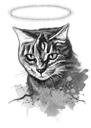 Retrato em memória do gato em tons de cinza com auréola