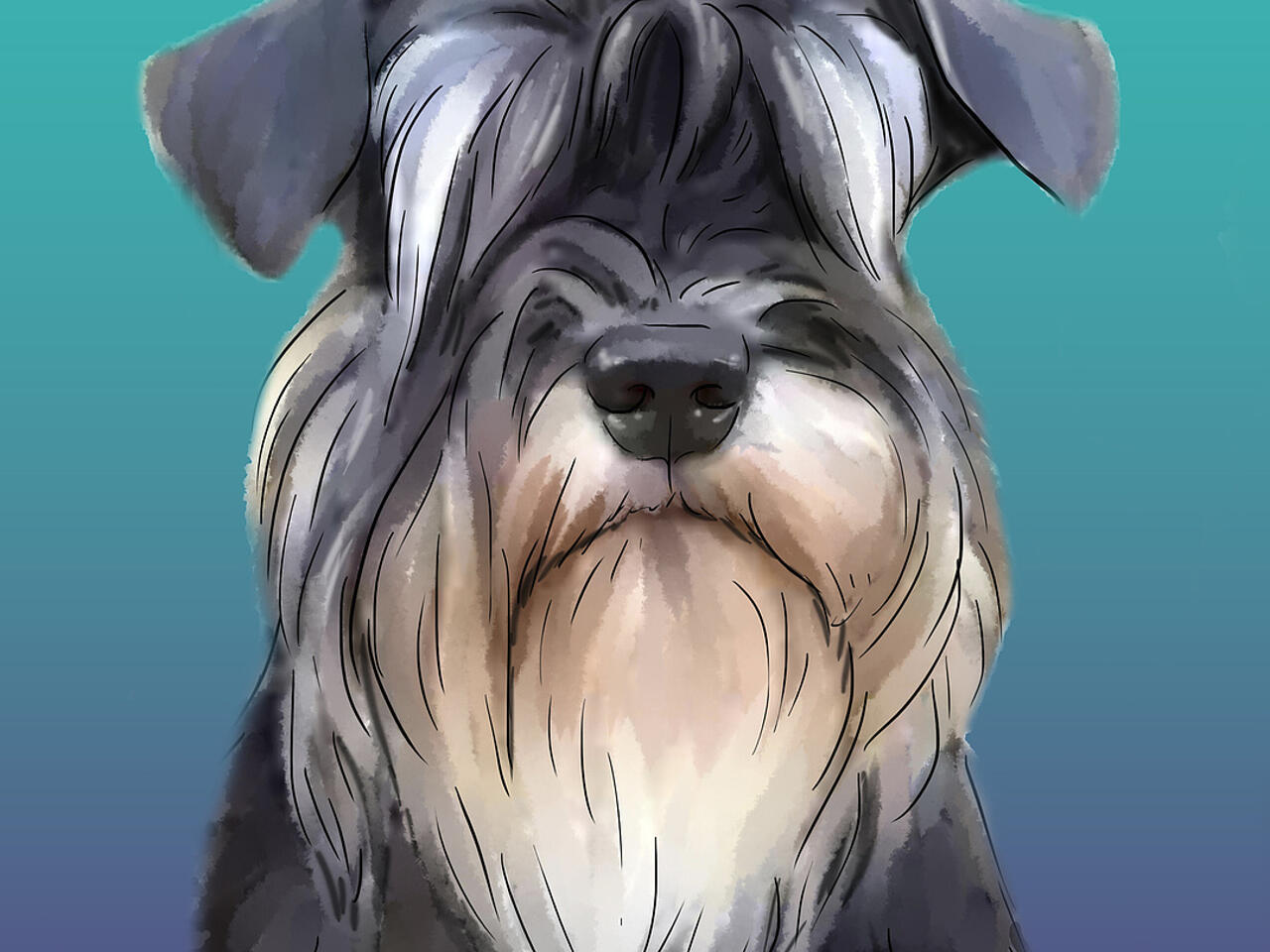 cuanto pesa un mini schnauzer