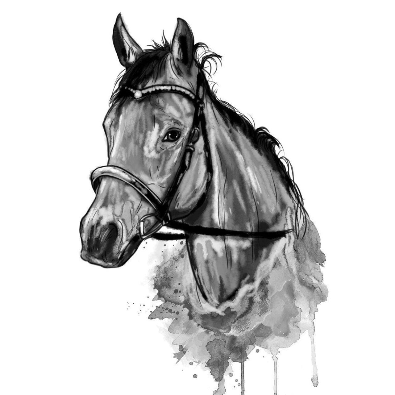 Ilustração de retrato de cavalo pintado à mão em aquarela