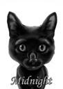 Портрет кошек с фотографии в черно-белом стиле