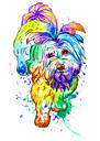 Full Body Rainbow Watercolor Bichon Maltaise Portrait