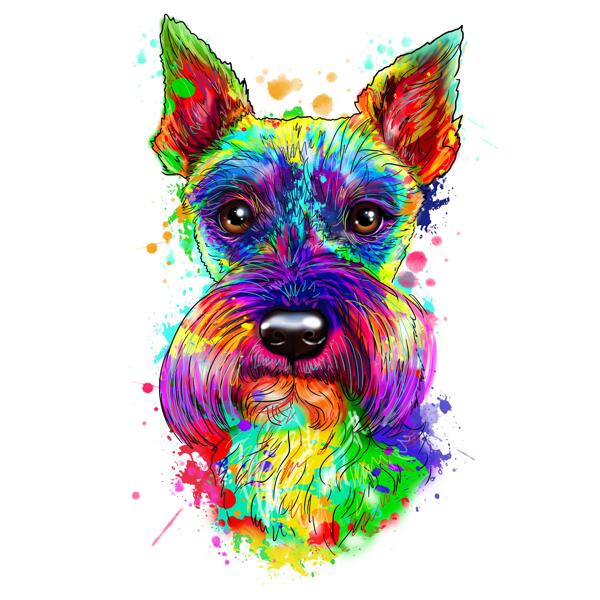 Punduršnaucera suņa varavīksnes portrets