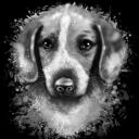 Harmaasävyinen akvarelli -koiran muotokuva mustalla taustalla olevasta valokuvasta