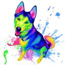 Visa ķermeņa haskija suņa akvareļa zīmējums