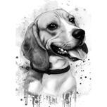 Beagle'i grafiit-akvarellportree karikatuur fotodelt