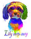 Rainbow Dog porträtt med år av liv