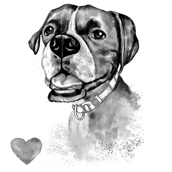 Portrét akvarel boxera ve stupních šedi z fotografií pro dárek pro milovníky mazlíčků