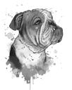 Retrato de grafito de Bulldogs en estilo acuarela de cabeza y hombros de fotos
