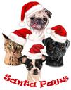 Retrato de dibujos animados de grupo de perros de Navidad en estilo de color de fotos