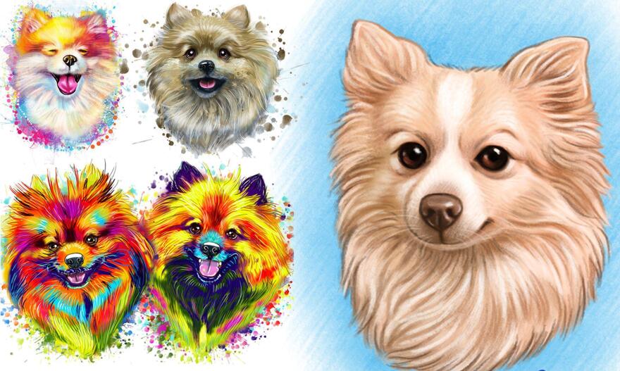 Pomerania Pomerania