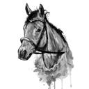 Akvarel grafitový kůň portrét z fotografií