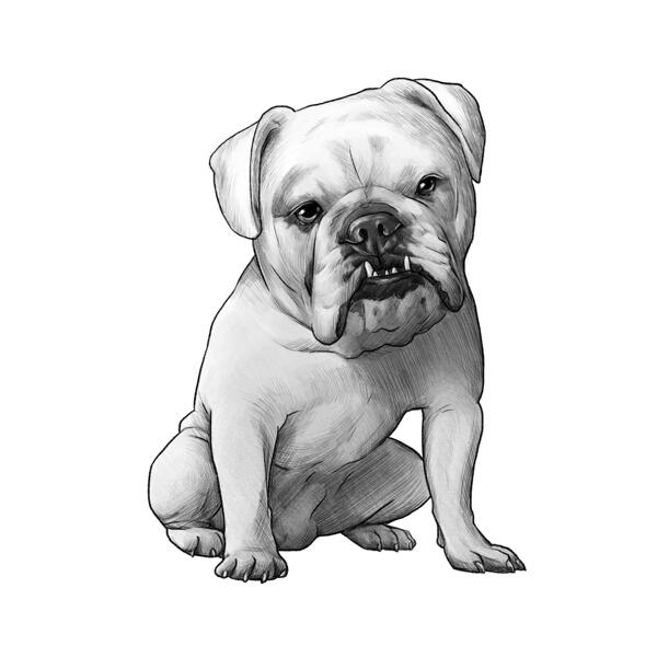 Bulldogi täiskeha portree