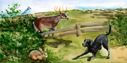 Pintura de qualquer animal de estimação a partir de fotos com fundo: estilo aquarela