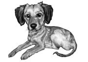 Grafitový pes akvarel portrét s pozadím