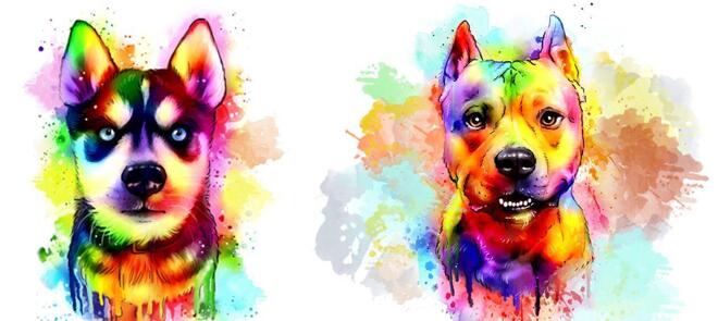 Akvarelli koiran muotokuva