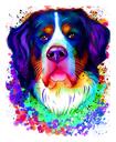 Bernese Mountain Dog Caricature Portrait in Watercolor Style from Photo