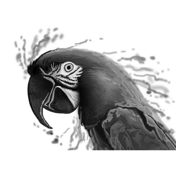 Portret de papagal din grafit în stil acuarelă din fotografie