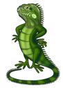Portrait de reptile dessiné à la main à partir d'une photo
