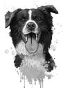 Watercolor Grayscale Australian Shepherd Caricature Portrait