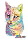 Kohandatud kassiportree fotodest – akvarellmaal pehmetes pastelsetes toonides