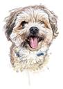 Akvareļa Bišona rotaļlietu suņa portrets no fotogrāfijām dabiskā krāsojumā