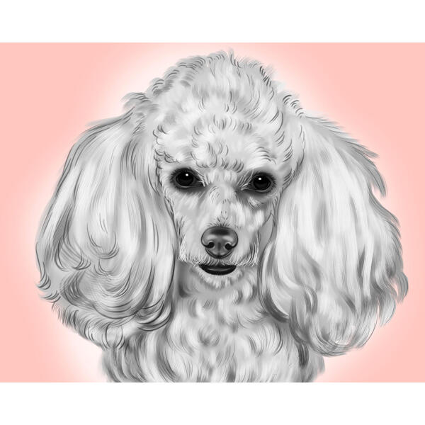 True to Life Poodle Sketch Drawing in Black and White Style with Background