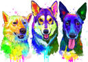 Hunde+og+kat+akvarel+maleri