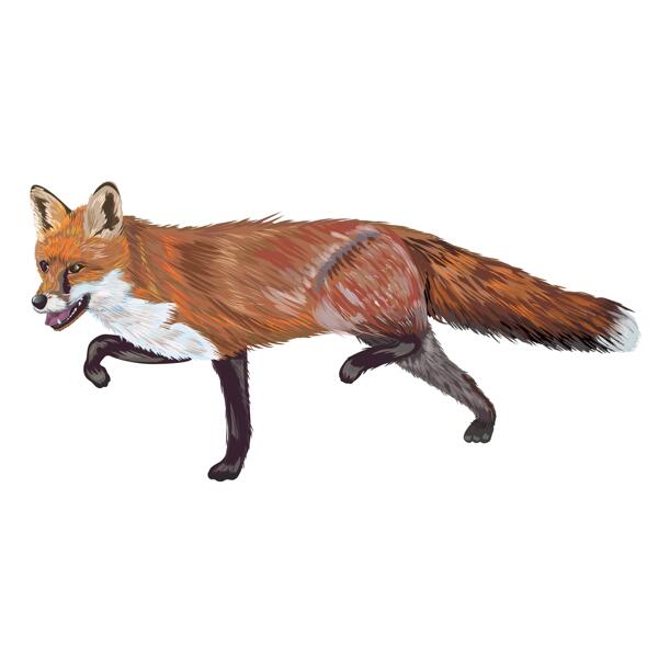 Fox Caricature Portrait