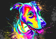 Retrato de perro arco iris sobre fondo negro