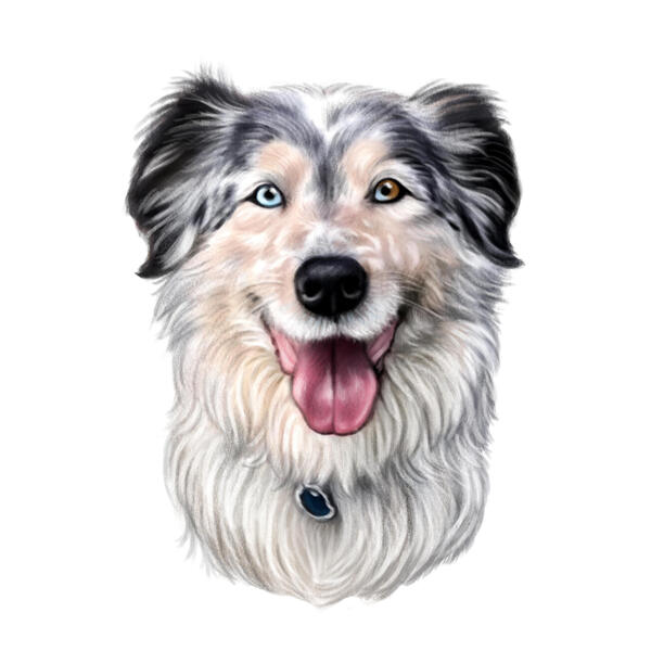 Australian Shepherd tecknad filmteckning