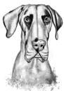 Portrait en graphite Dogue Allemand