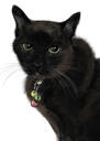 صورة قطة أصلية بأسلوب ملون مع شكل جسدي طبيعي من الصور