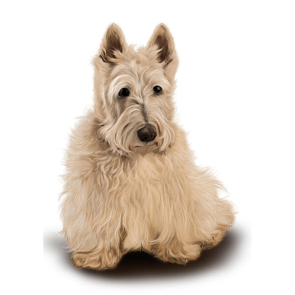 Scottish Terrier Portrait in Full Body Colored Style from Photos