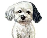 Portret câine: stil colorat