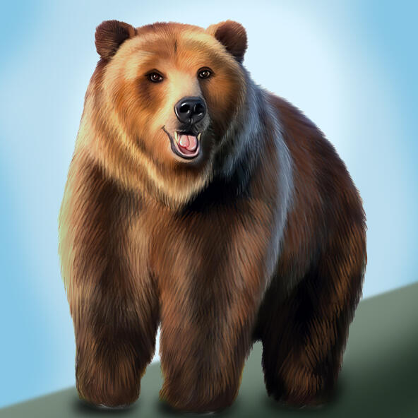 Caricatura ursului Caricatura „Urs”