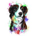 Portrait de Collie : peinture à l'aquarelle naturelle