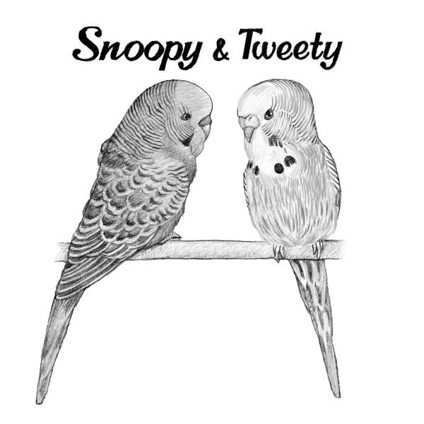 Parrots Cartoon Portrait in Monochrome Style Hand-Drawn from Personalized Photos