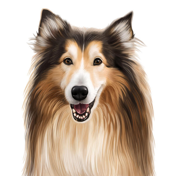 Caricature de Collie