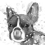 Fransk bulldog karikatyr porträtt tecknad i huvud och axlar svart bly akvarell stil