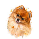 Pomeranian Spitz Portrait i naturliga akvareller från foton