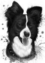 Border Collie Portrait Drawing in Grayscale Watercolor from Photos