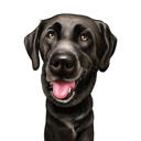 Anpassad Labrador-karikatyr