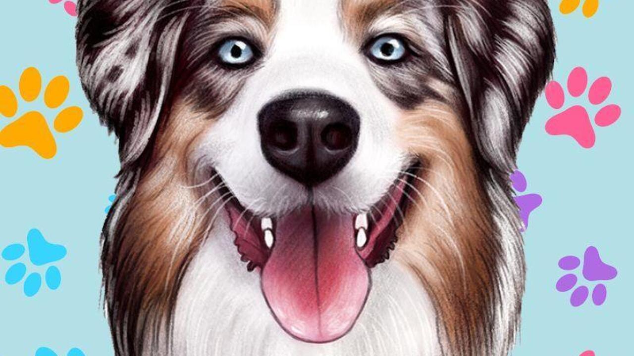 Australian Shepherd Caricature Buy it online today