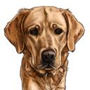 Labrador Cartoon Portrait